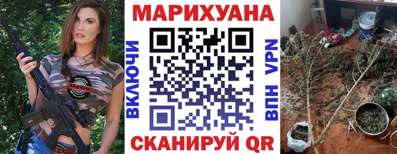 Каннабис планчик Аксай